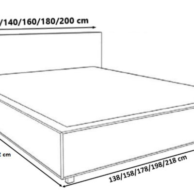 Moderná čalúnená posteľ s úložným priestorom 120x200 BERGEN - čierna ekokoža