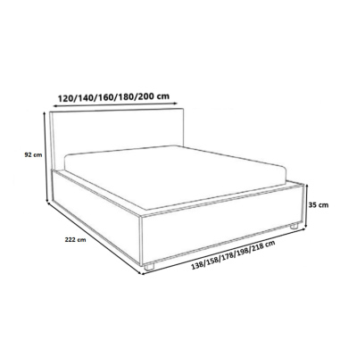 Moderná čalúnená posteľ s úložným priestorom 200x200 BERGEN - čierna ekokoža