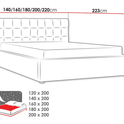 Čalúnená manželská posteľ s roštom 160x200 WARNOW 2 - svetlá šedá