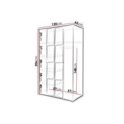 Šatníková skriňa so zrkadlom 120 cm HONG 1 - dub artisan / čierna