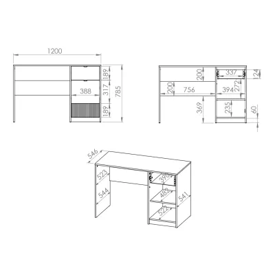 Písací stôl ARANA - biely / dub castello / grafitový