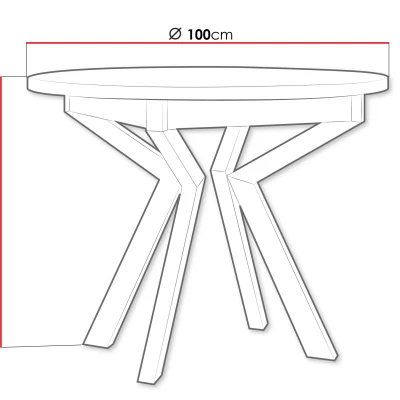 Malý okrúhly jedálenský stôl 100 cm ALVARADO 7 - biely / čierny