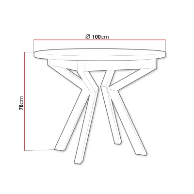 Malý okrúhly jedálenský stôl 100 cm ALVARADO 7 - biely / čierny